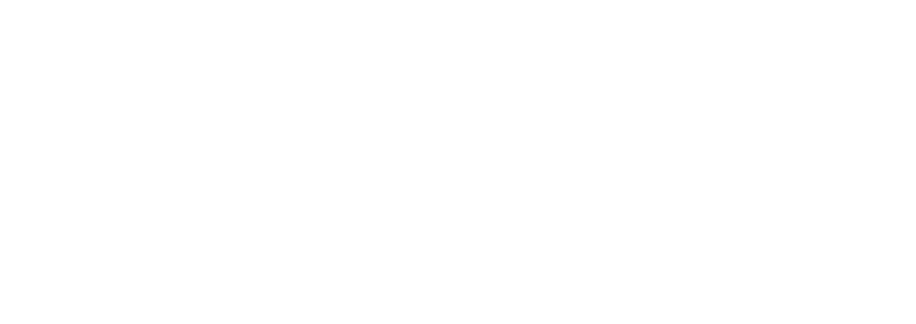SOZOW